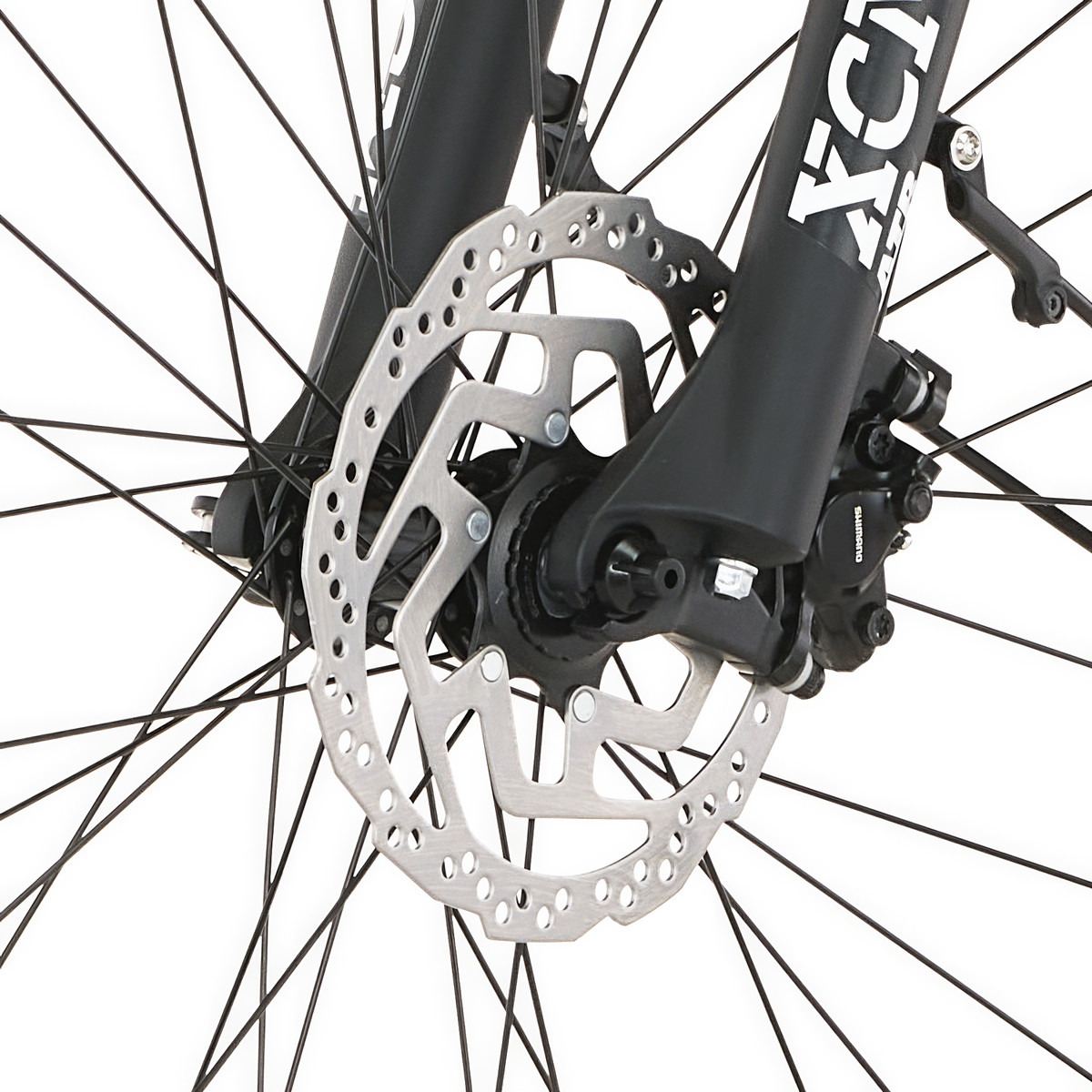 FISCHER TERRA T100 E-Bike - green, 28, RH 45 cm, 711