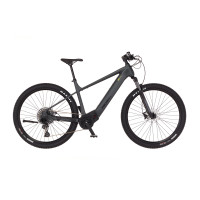 MOUNTAIN MT110 M E-Bike - Galaxy gray, 29 Zoll, RH 46 cm, 711 Wh Generalüberholt