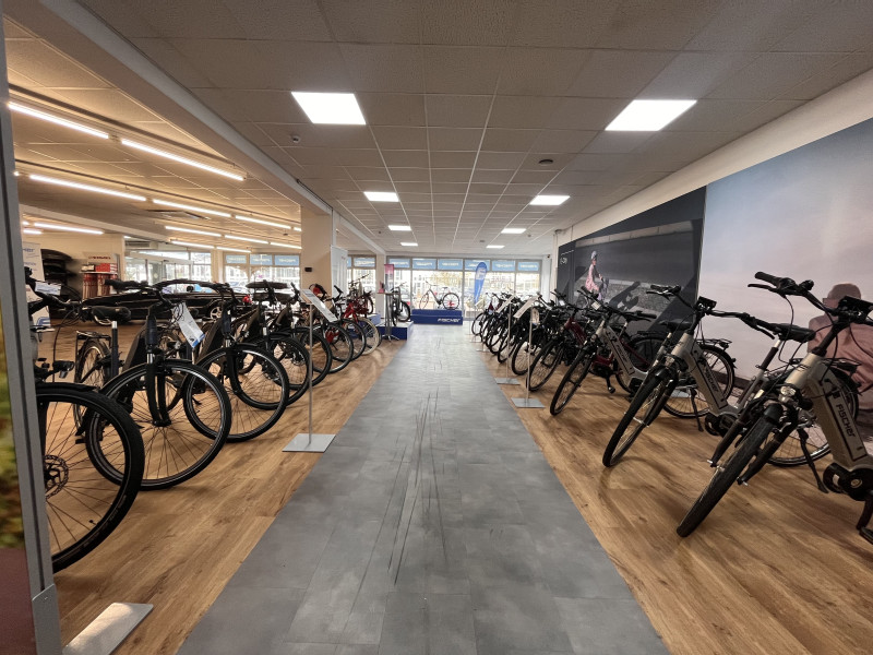 gazelle gebrauchte fahrräder Gazelle Nr. 1125 Wh E-Bike Gebraucht | Generalüberholt