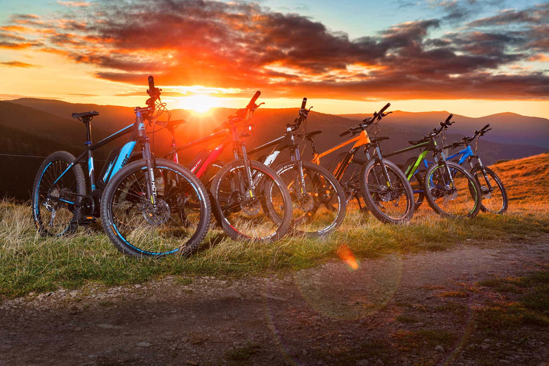 6 Fischer E-Bikes in verschiedenen Farben stehen im Sonnenuntergang