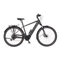 TREKKING TR110 L DIAMANT E-Bike - Galaxy gray, 28 Zoll, RH 55 cm, 711 Wh Generalüberholt