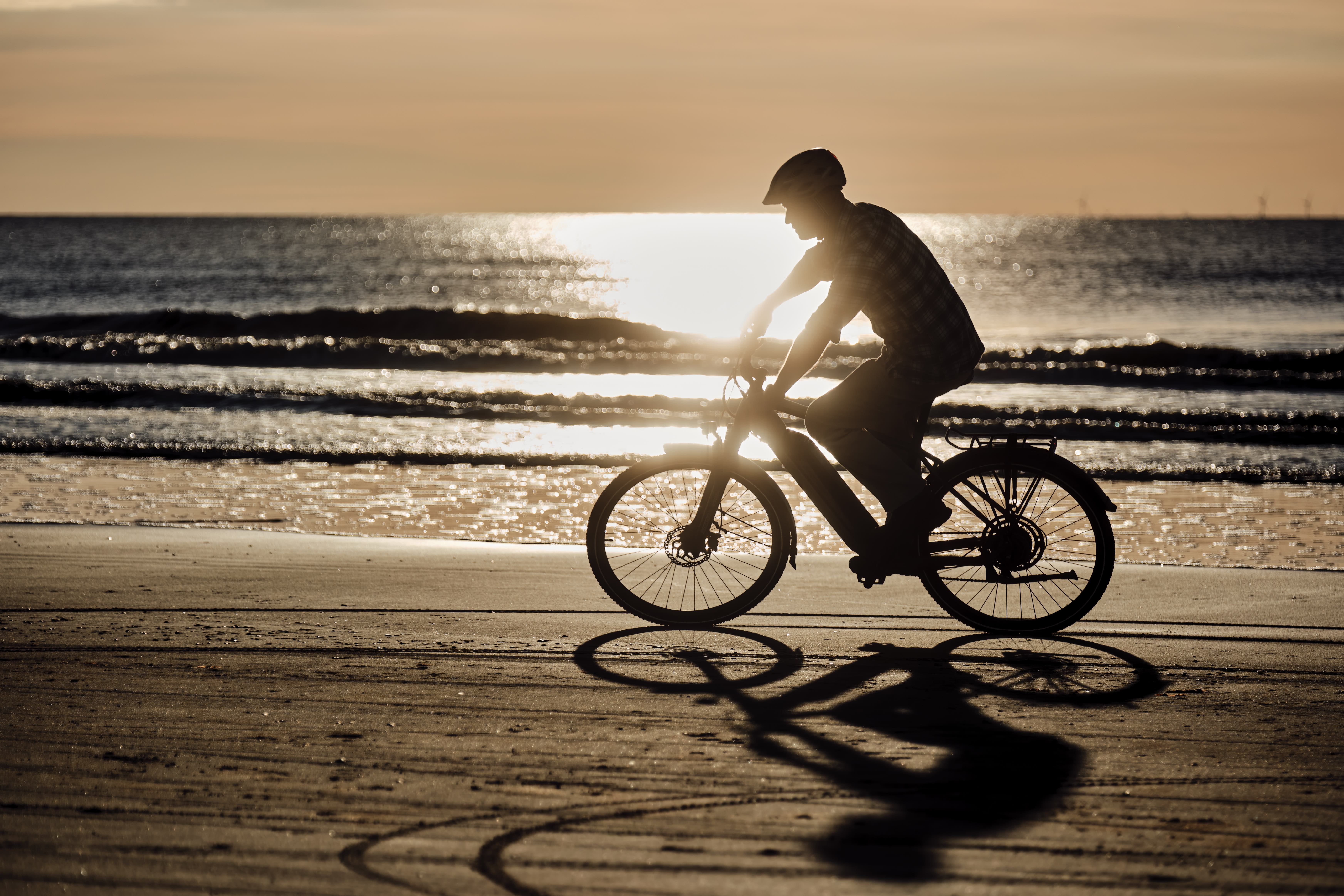 PA_2025-Fischer-Terra-Blavand-15881f4YazCx4VSZl