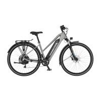 FISCHER TERRA 2.2 E-Bike - smoke grey matt, 29 Zoll, RH 45cm, 688 Wh Generalüberholt