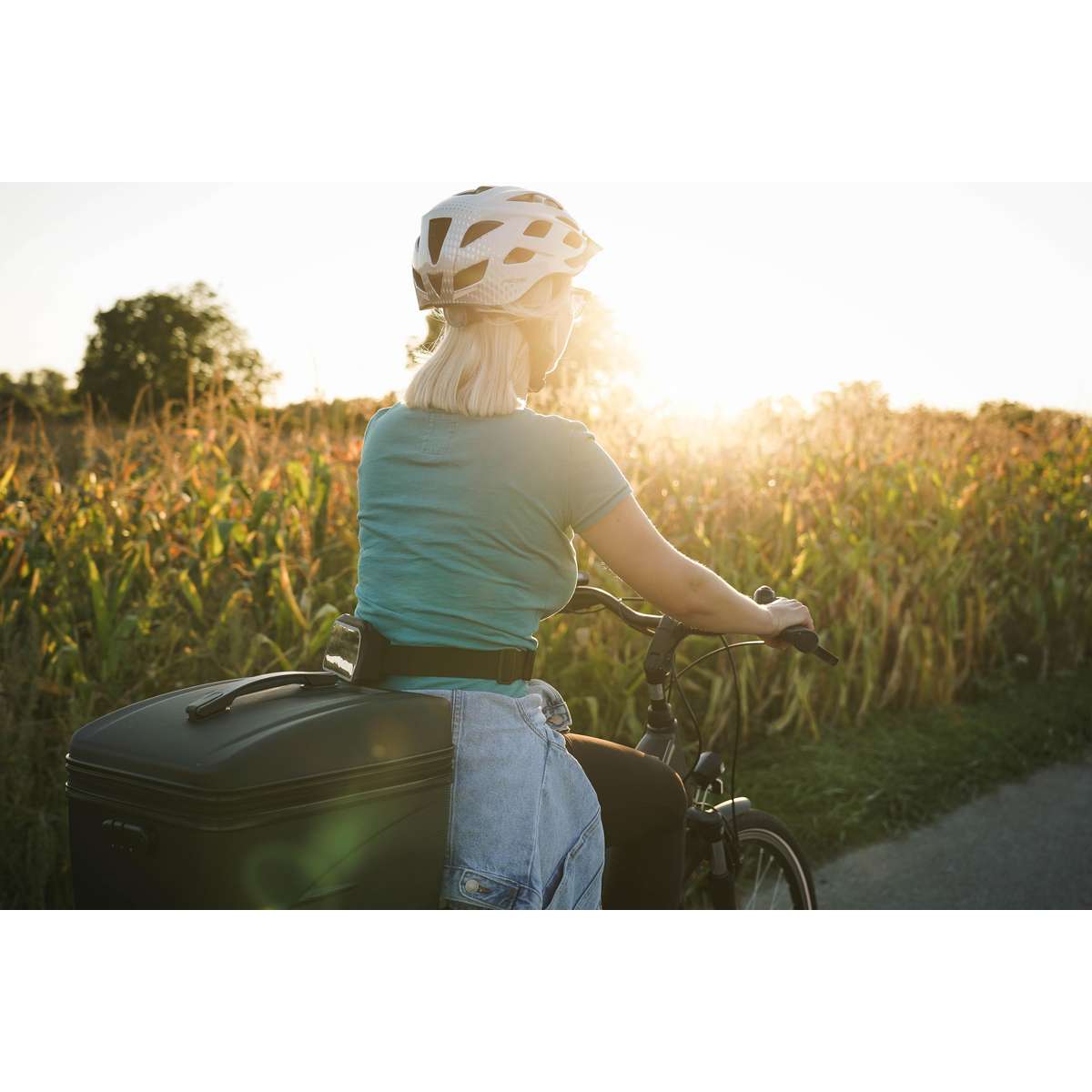 FISCHER FAHRRAD Koelbox voor op de fiets Passief Zwart 19 l kopen ? Electronic