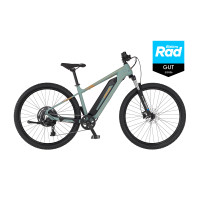 FISCHER E-MTB E-Bike MONTIS 2.2 ACTIVE - Piniengrün matt, 29 Zoll, RH 49 cm, 688 Wh