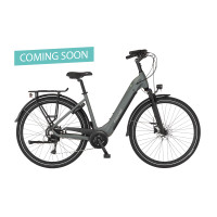 FISCHER CITA MOVE 01 W E-Bike - grau matt, 28 Zoll, RH 48 cm, 474 Wh
