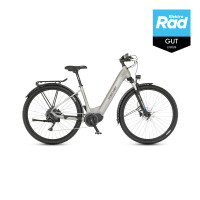 FISCHER All Terrain E-Bike Terra 4.0i - SUV, grau, RH 55 cm, 29 Zoll, 630 Wh