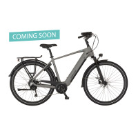 FISCHER VIATOR MOVE 01 E-Bike - grau matt, 28 Zoll, RH 52 cm, 474 Wh