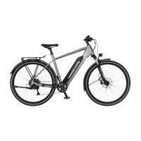 FISCHER ATB E-Bike TERRA 2.2 - grau, 29 Zoll, RH 55 cm, 459 Wh