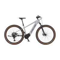FISCHER MONTIS M100 E-Bike - grey, 29, RH 46 cm, 711