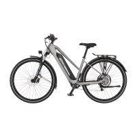 FISCHER ATB E-Bike TERRA 2.2 - grau, RH 45 cm, 459 Wh
