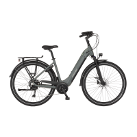FISCHER City E-Bike CITA MOVE 01 W - grau matt, 28 Zoll, RH 48 cm, 474 Wh