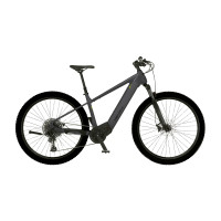 MOUNTAIN MT110 M E-Bike - Galaxy gray, 29 Zoll, RH 46 cm, 711 Wh