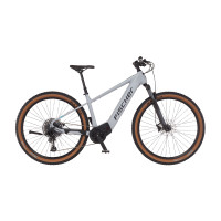 FISCHER MONTIS M100 E-Bike - grey, 29 Zoll, RH 43 cm, 711 Wh Generalüberholt